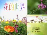 小学 / 美术 / 人美版 / 一年级下册 / 19. 花的世界课件