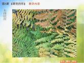 小学 / 美术 / 苏少版 / 三年级下册 / 19 渐变的形课件
