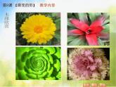 小学 / 美术 / 苏少版 / 三年级下册 / 19 渐变的形课件