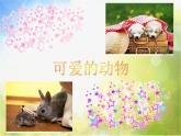 小學(xué) / 美術(shù) / 人教版 / 一年級上冊 / 第20課 美麗的植物和動物課件