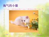 小學(xué) / 美術(shù) / 人教版 / 一年級上冊 / 第20課 美麗的植物和動物課件