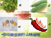 小學(xué) / 美術(shù) / 蘇少版 / 一年級下冊 / 16 畫味覺、畫嗅覺PPT課件