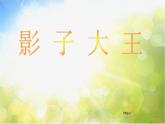 小學 / 美術(shù) / 湘美版 / 二年級下冊《17影子大王-》PPT課件-(3)