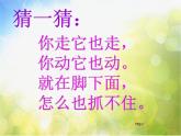 小學 / 美術(shù) / 湘美版 / 二年級下冊《17影子大王-》PPT課件-(3)
