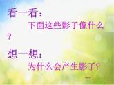 小學 / 美術(shù) / 湘美版 / 二年級下冊《17影子大王-》PPT課件-(3)
