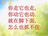 小學 / 美術(shù) / 湘美版 / 二年級下冊《17影子大王-》PPT課件-(2)