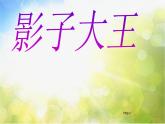 小學 / 美術(shù) / 湘美版 / 二年級下冊《17影子大王-》PPT課件-(2)