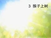 小学 / 美术 / 湘美版 / 二年级下册《21猴子上树-》PPT课件