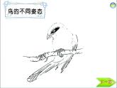小學(xué) / 美術(shù) / 湘美版 / 一年級上冊《21鳥語花香-》PPT課件