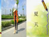 小學(xué) / 美術(shù) / 湘美版 / 四年級(jí)上冊(cè)《第1l課城市美容師》PPT課件