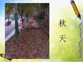 小學(xué) / 美術(shù) / 湘美版 / 四年級(jí)上冊(cè)《第1l課城市美容師》PPT課件