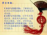 小學(xué) / 美術(shù) / 湘美版 / 五年級(jí)下冊(cè)《第1課巨匠童心》PPT課件