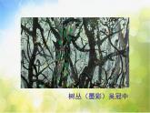 小學(xué) / 美術(shù) / 人教版 / 四年級(jí)下冊(cè)《第1課聚聚散散》PPT課件-(2)