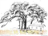 小學(xué) / 美術(shù) / 人教版 / 三年級上冊《第1課魔幻的顏色》PPT課件-(2)