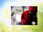小学 / 美术 / 苏少版 / 六年级上册《第1课我种的植物》PPT课件-(3)