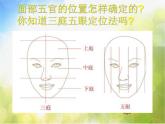 小學(xué) / 美術(shù) / 人美版 / 五年級上冊《第2課：畫人像》PPT課件-(1)