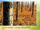 小學(xué) / 美術(shù) / 人美版 / 四年級(jí)上冊(cè)《第2課：生活中的暖色》PPT課件-(1)