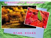 小學(xué) / 美術(shù) / 人美版 / 四年級(jí)上冊(cè)《第2課：生活中的暖色》PPT課件-(5)
