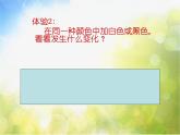 小學 / 美術(shù) / 湘美版 / 五年級下冊《第2課同一幅畫》PPT課件