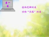 小學(xué) / 美術(shù) / 人教版 / 三年級下冊《第2課重重復(fù)復(fù)》PPT課件-(2)
