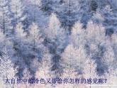 小學(xué) / 美術(shù) / 人美版 / 四年級(jí)上冊(cè)《第3課：生活中的冷色》PPT課件-(3)