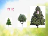 小学 / 美术 / 人教版 / 三年级上册《第3课大人国与小人国》PPT课件-(1)