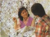 小學(xué) / 美術(shù) / 人教版 / 五年級上冊《第3課美麗的紋樣》PPT課件-(7)