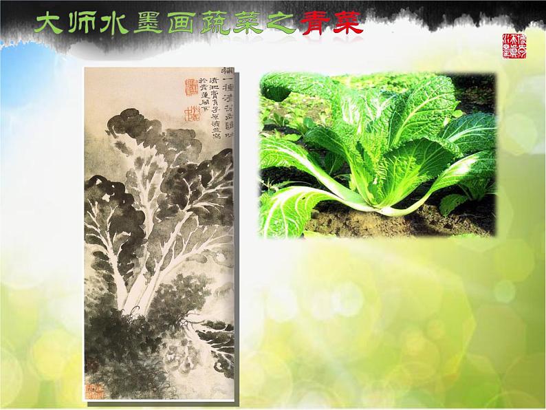 小学 / 美术 / 苏少版 / 六年级上册 《第3课水墨蔬菜》PPT课件07