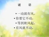小學(xué) / 美術(shù) / 人美版 / 二年級(jí)上冊(cè)《第4課-小扇子》PPT課件-(3)