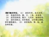 小學(xué) / 美術(shù) / 人美版 / 二年級(jí)上冊(cè)《第5課-漂亮的小鐘表》PPT課件-(3)