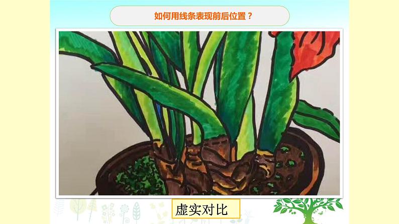 浙美版小学美术五年级下册  11.植物写生   课件08