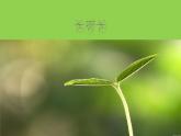 人美版一年級(jí)下冊(cè)美術(shù) 2.長(zhǎng)呀長(zhǎng)_ 課件