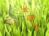 人美版一年級(jí)下冊(cè)美術(shù) 2.長(zhǎng)呀長(zhǎng)(4) 課件