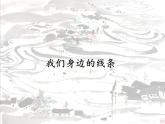 人美版一年级下册美术 4.我们身边的线条_ 课件