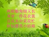 人美版一年級下冊美術 10. 我和昆蟲(4) 課件