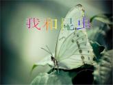 人美版一年級下冊美術 10. 我和昆蟲(1) 課件