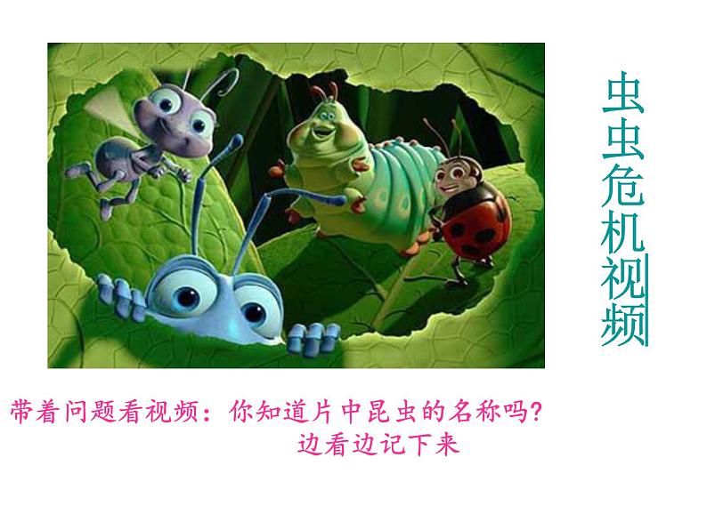 人美版一年级下册美术 10. 我和昆虫(1) 课件第2页