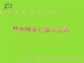 人美版一年級下冊美術(shù) 綜合練習(xí) 課件