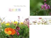 人美版一年级下册美术 19. 花的世界_ 课件