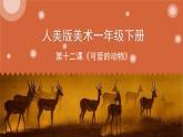 人美版一年級下冊美術 12. 可愛的動物(1) 課件