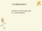 美術(shù)中的比例課件PPT