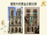 美術(shù)中的比例課件PPT