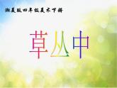 小學 / 美術(shù) / 湘美版 / 四年級上冊 / 第5課 草叢中課件-(2)