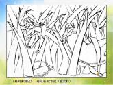 小學 / 美術(shù) / 湘美版 / 四年級上冊 / 第5課 草叢中課件-(2)