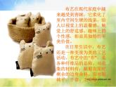 小學 / 美術 / 湘美版 / 五年級上冊 / 第7課 布藝溫馨(2)ppt課件