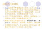 六年级美术下册课件-1追寻文明的足迹17-人美版（28张PPT）