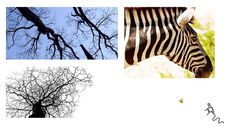 各种各样的线-PPT03