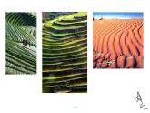 各種各樣的線-PPT