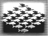 美術(shù)三年級(jí)上冊(cè)課件-6.黑與白19-人教版