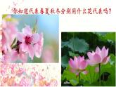 美術一年級上冊課件-11.花兒寄深情3-人教版
